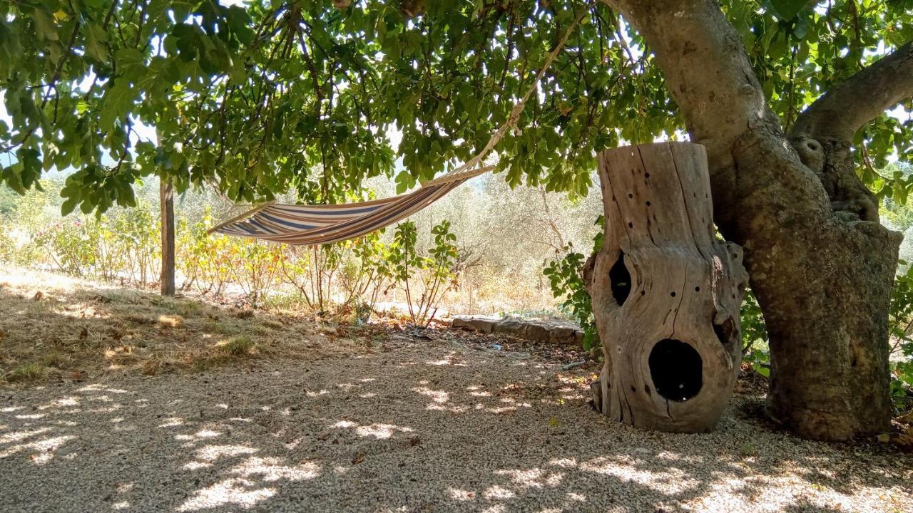 Sport Bikes And Nature Monterotondo  Εξωτερικό φωτογραφία